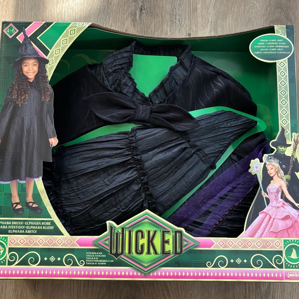 Universal Wicked Witch Costume - Black and Purple